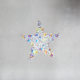 Star - Brooch Columba - 1